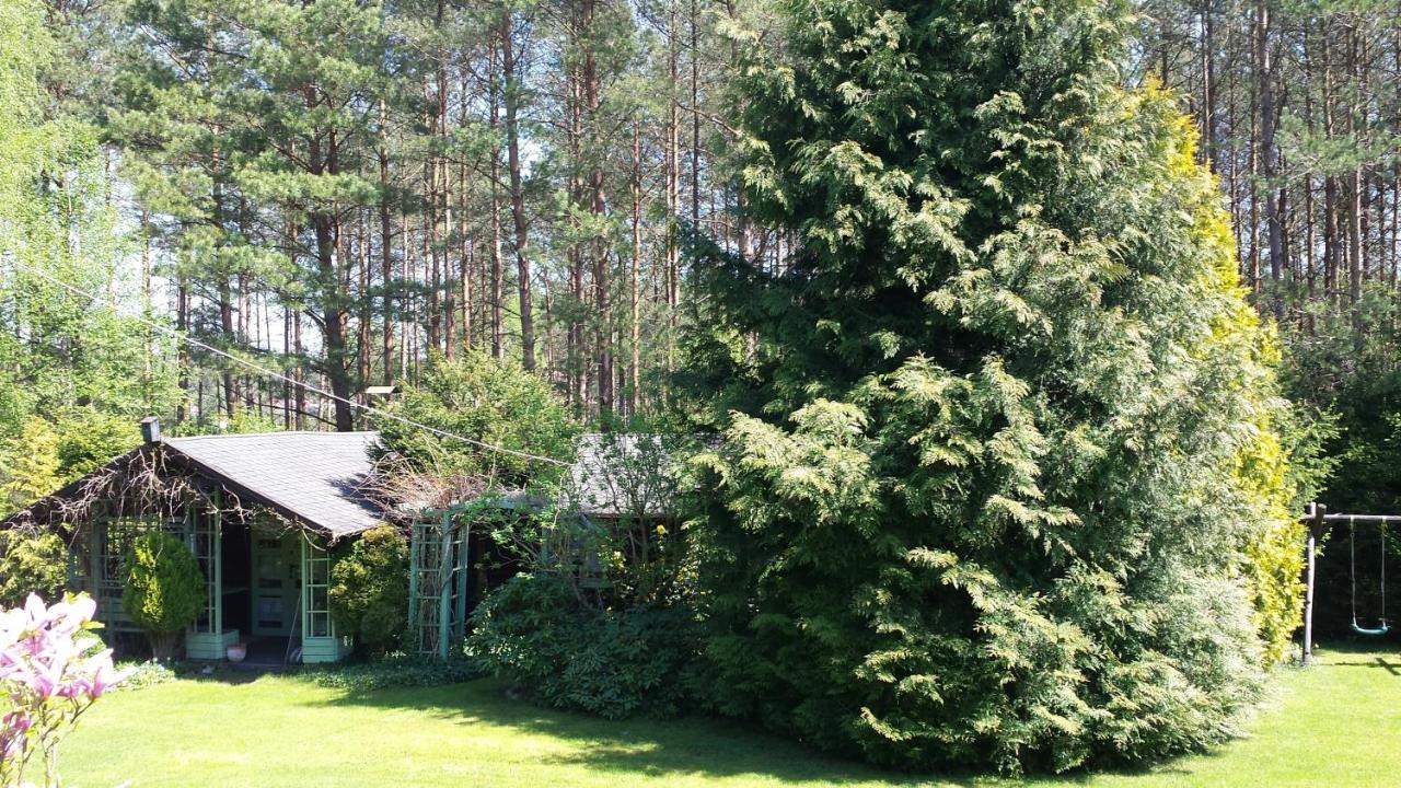 Domek Letniskowy Na Kaszubach Lub Apartament Z Kominkiem Пуцк Экстерьер фото