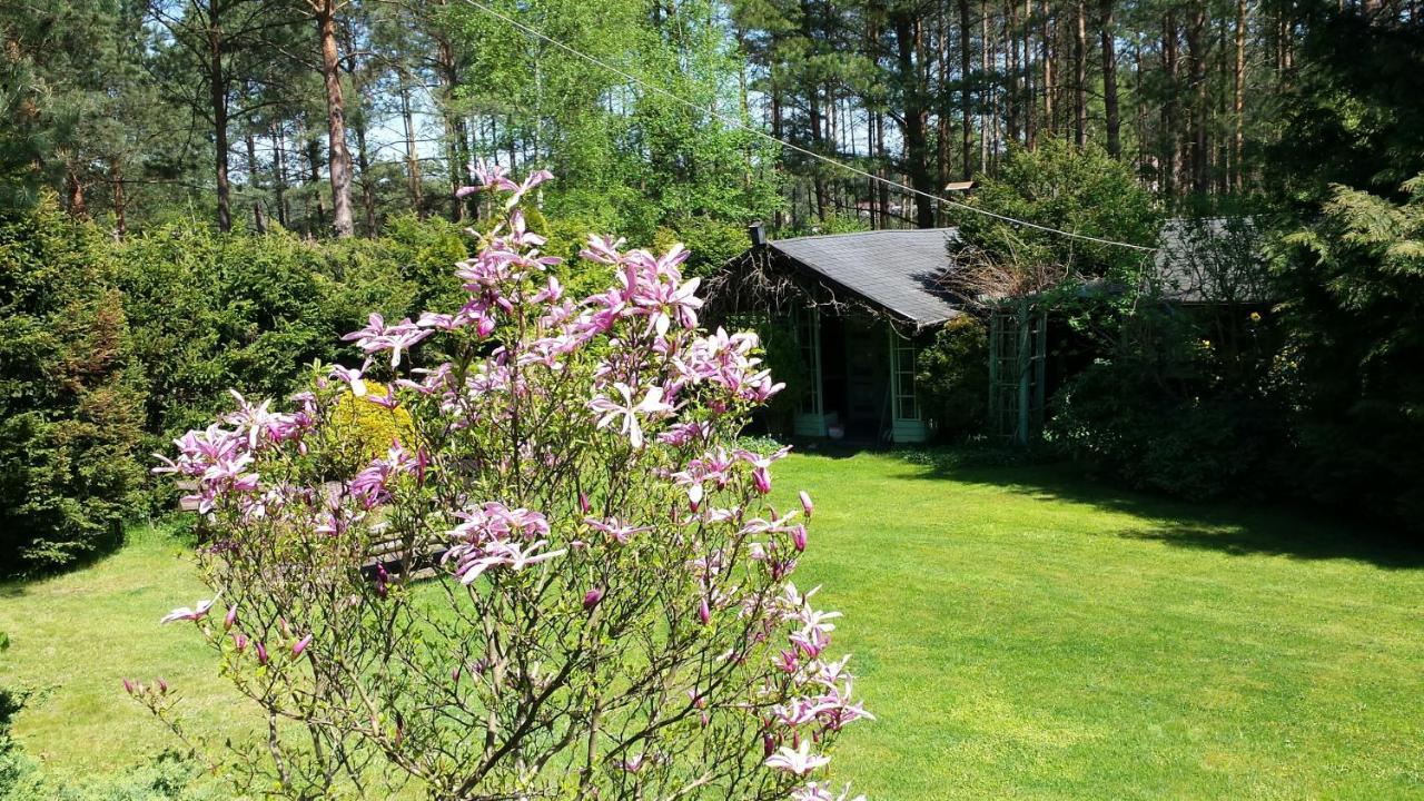 Domek Letniskowy Na Kaszubach Lub Apartament Z Kominkiem Пуцк Экстерьер фото