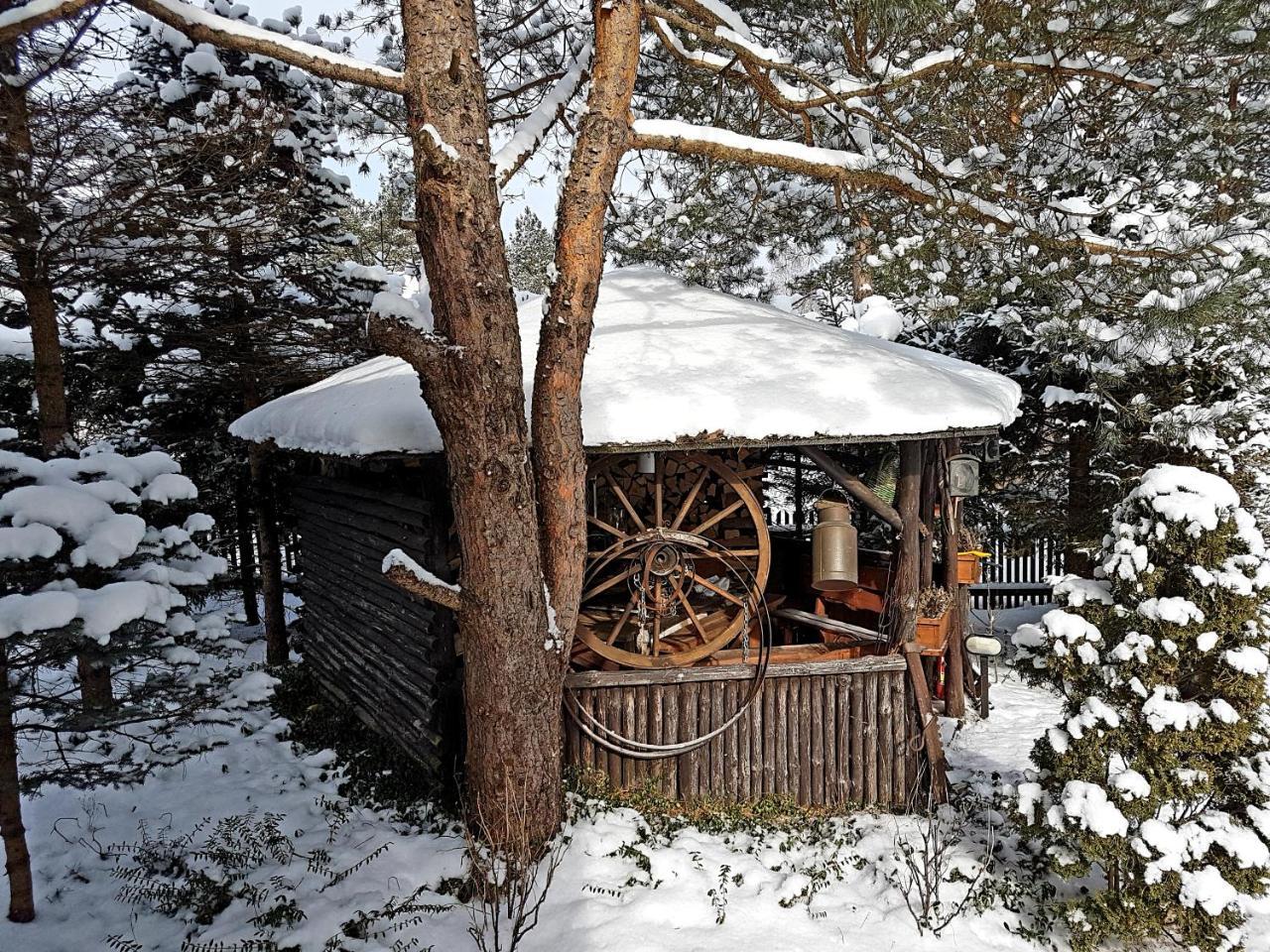 Domek Letniskowy Na Kaszubach Lub Apartament Z Kominkiem Пуцк Экстерьер фото