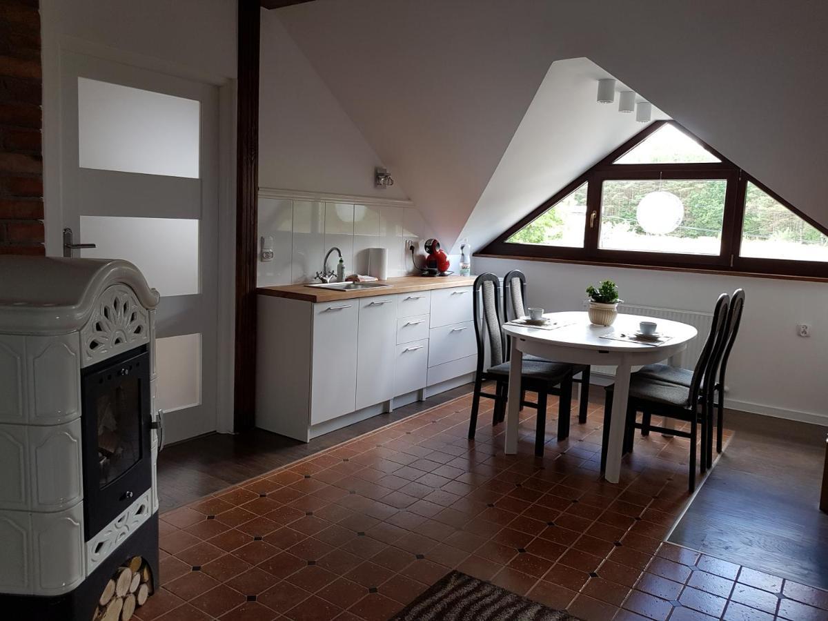 Domek Letniskowy Na Kaszubach Lub Apartament Z Kominkiem Пуцк Экстерьер фото
